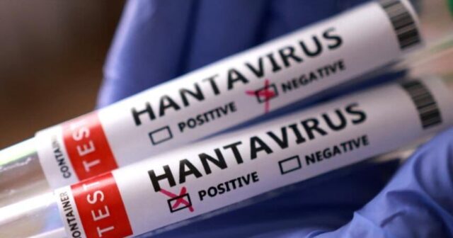İndoneziyada hantavirus təhlükəsi: Cakarta rəsmilərindən ciddi XƏBƏRDARLIQ