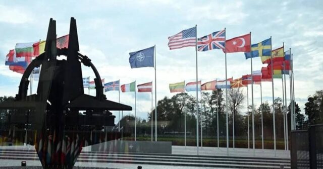 Türkiyədə NATO sammiti ərəfəsində ŞOK HƏBSLƏR: TEMA təmsilçisi və universitet dosenti TUTULDU