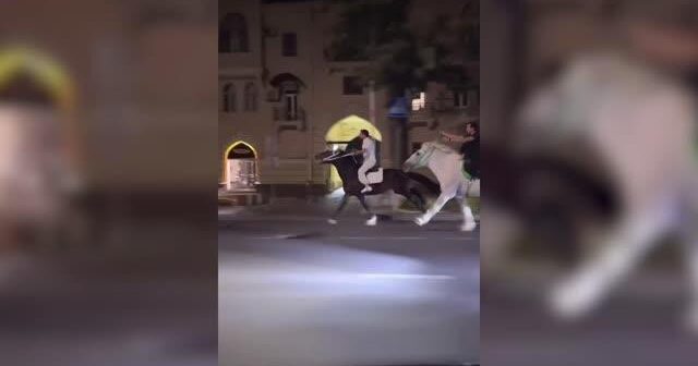 Paytaxt küçələrində AT YARIŞI: Asayiş pozucuları SAXLANILDI – VİDEO Paytaxt küçələrində AT YARIŞI: Asayiş pozucuları SAXLANILDI – VİDEO