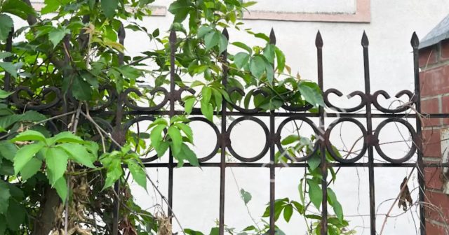 Hasardan aşmaq istəyən azyaşlı mühafizəçinin kobud rəftarı ucbatından ÖLDÜ