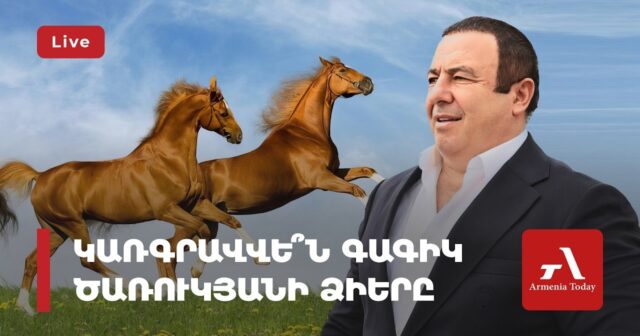 Ermənistanda Tsarukyanın cins atlarının müsadirəsi TƏXİRƏ SALINDI Ermənistanda Tsarukyanın cins atlarının müsadirəsi TƏXİRƏ SALINDI