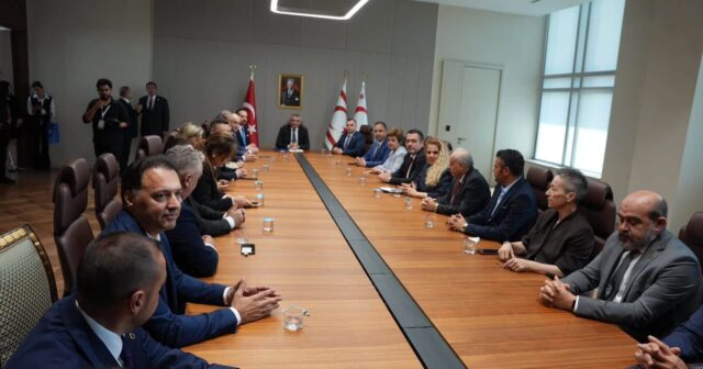 Tənzilə Rüstəmxanlı Şimali Kipr Prezidenti Tufan Erhürmanla görüşdə iştirak edib – FOTO