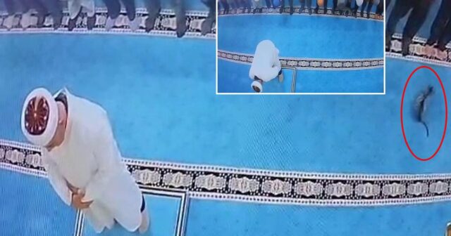 Namaz zamanı pişiyi təpikləyən şəxs SAXLANILDI – VİDEO Namaz zamanı pişiyi təpikləyən şəxs SAXLANILDI – VİDEO