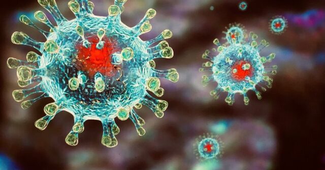 Yeni koronavirus ştammı PJ.2.1 barədə XƏBƏRDARLIQ EDİLDİ Yeni koronavirus ştammı PJ.2.1 barədə XƏBƏRDARLIQ EDİLDİ