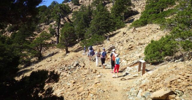 Kamçatkada bələdçi 15 turisti ucqar ərazidə TƏRK ETDİ