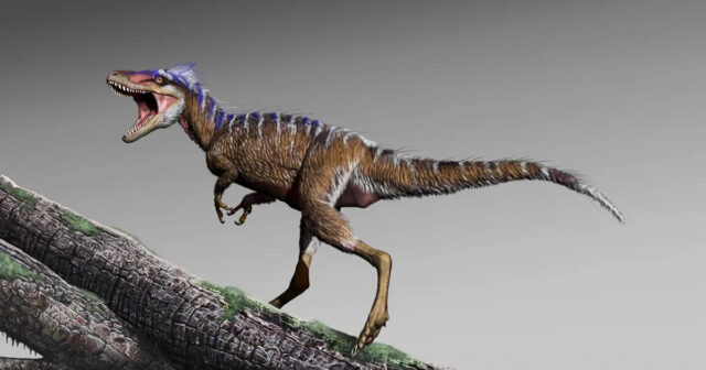 Çində “Yura dövrünün parkı”nı xatırladan robot-dinozavr YARADILDI – VİDEO Çində “Yura dövrünün parkı”nı xatırladan robot-dinozavr YARADILDI – VİDEO