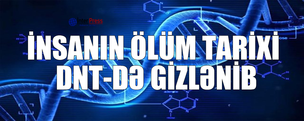 İnsanın ölüm tarixi DNT-də gizlənib