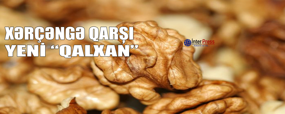 Xərçəngə qarşı yeni “qalxan”