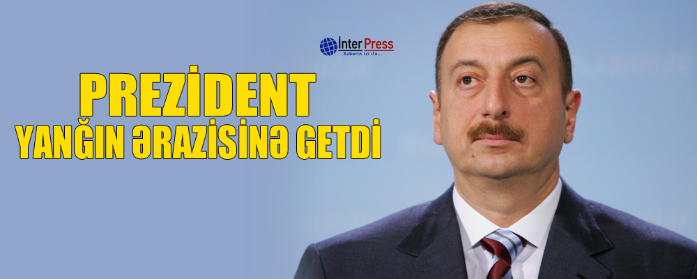 Prezident yanğın ərazisinə getdi