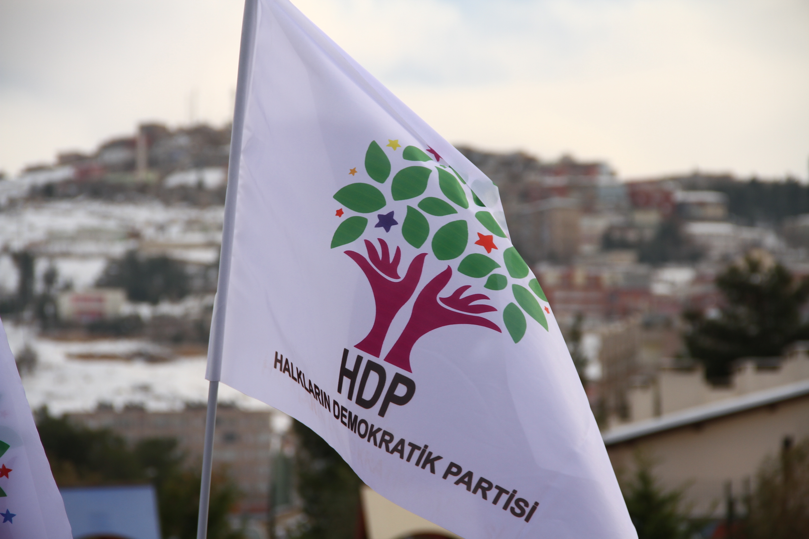 Seçkilərin ilkin nəticəsinə görə HDP baryeri keçib