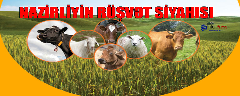 Nazirliyinin rüşvət siyahısı