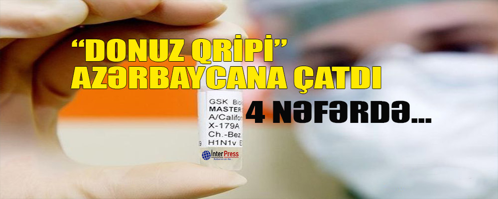 “Donuz qripi” Azərbaycana çatdı – 4 nəfərdə…