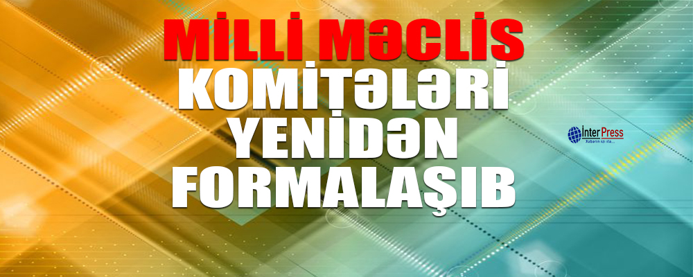 Milli Məclis komitələri yenidən formalaşıb