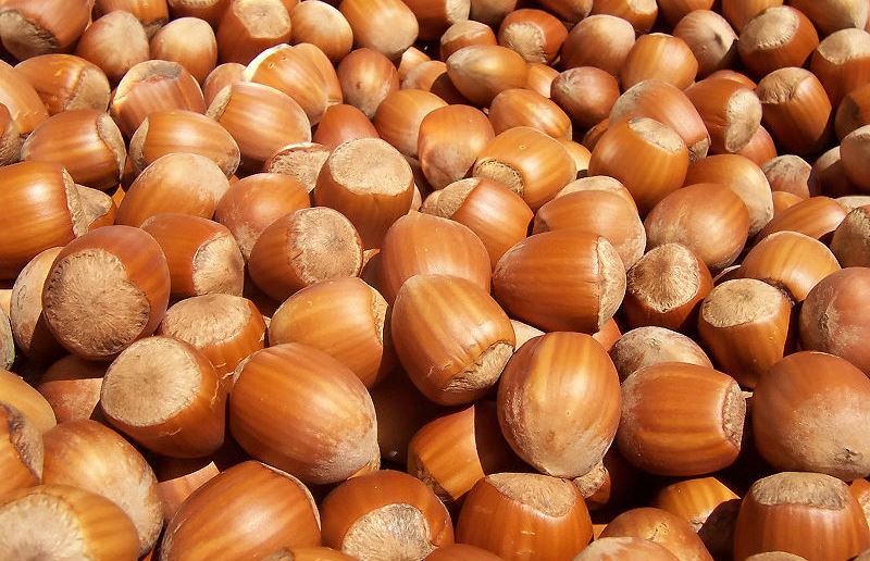 300 kilo fındıq oğurlayan şəhər sakini tutuldu