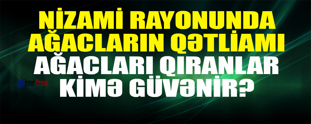 Bakının Nizami rayonunda ağacları qıranlar kimə güvənirlər? FOTOLAR+VİDEO