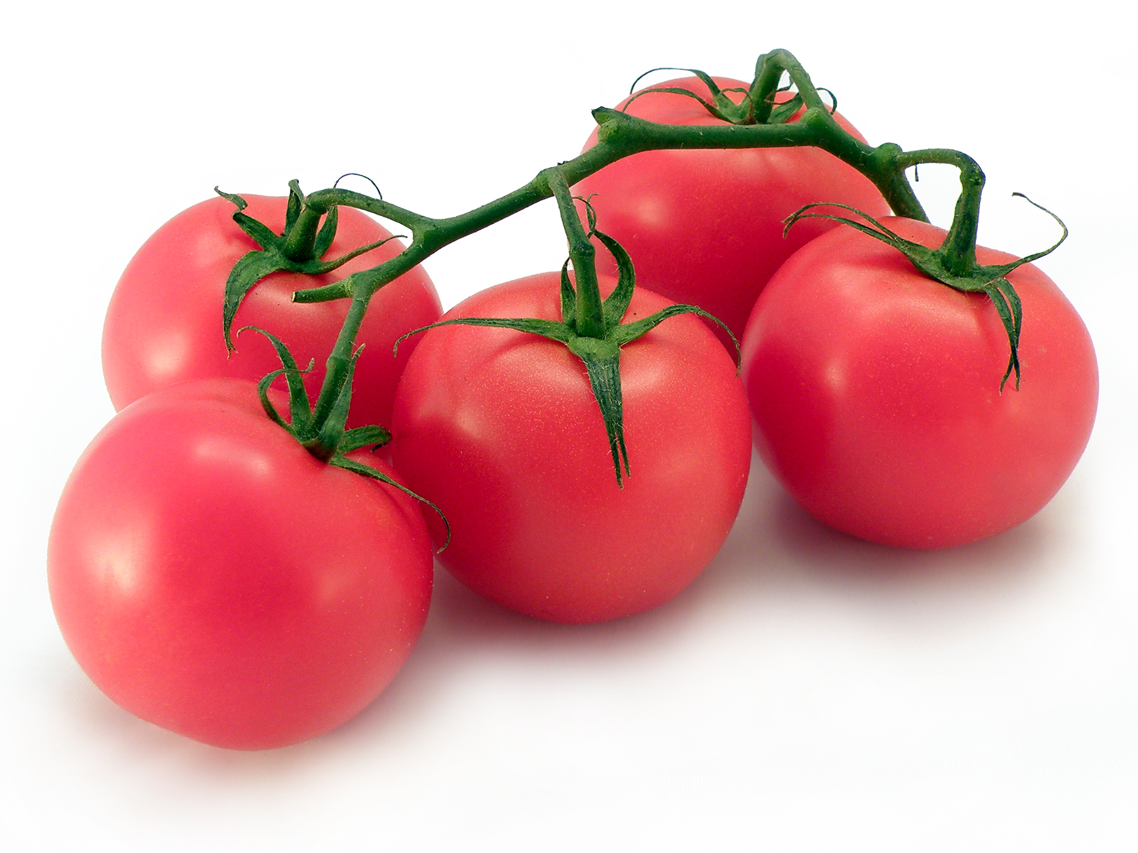 Azərbaycanda pomidor can aldı