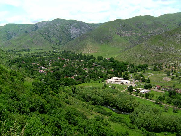“Laçın meşələri erməni əsilli ABŞ milyarderinə icarəyə verilib”