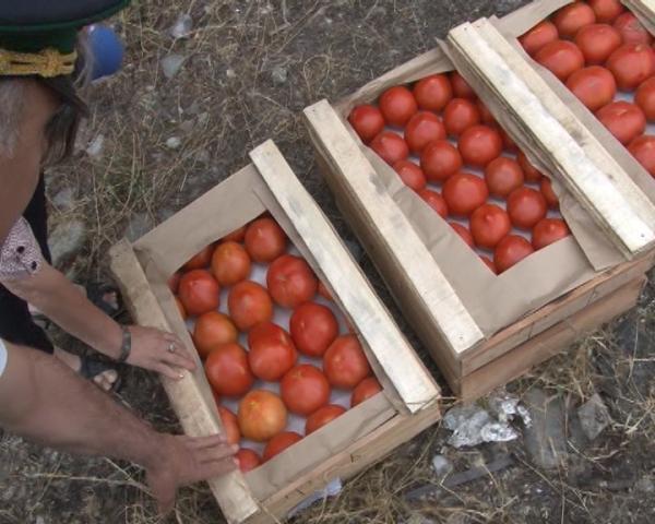 Rusiyadan məhsul dolu vaqonlar niyə geri qayıdır?