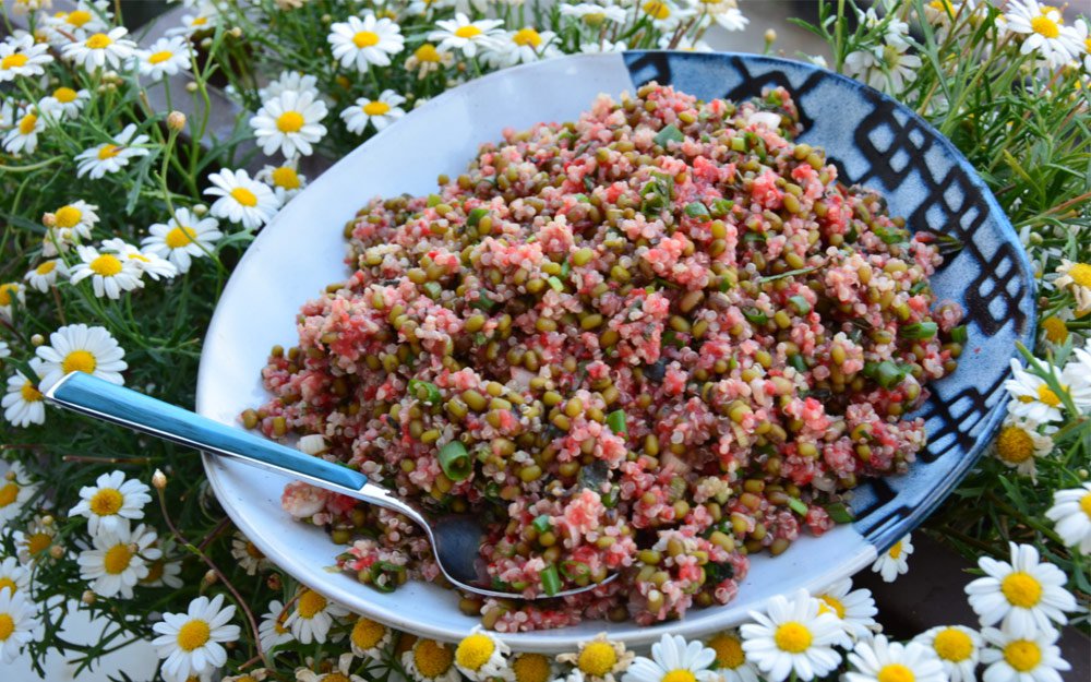 Kinoalı çiyələk ətirli salat