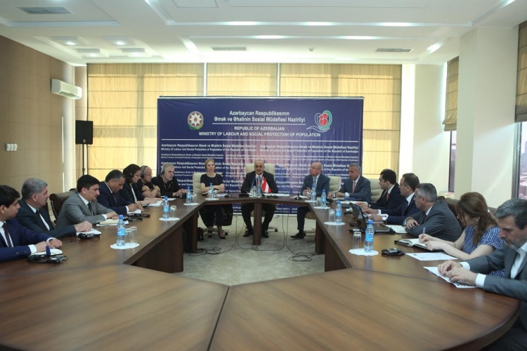“Sosial işçi” modelinin tətbiqi işləri aparılır