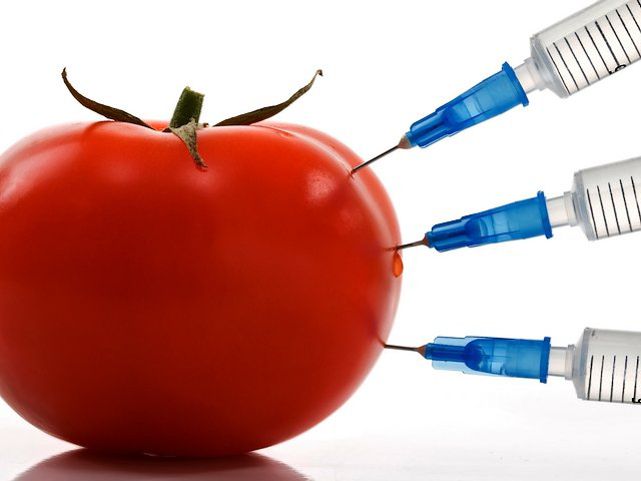 “Azərbaycanda GMO əkinçilik və toxumçuluq var”