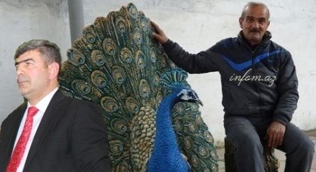 İş adamı ustanın pulunu vermir