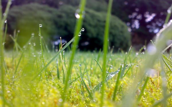 Hava soyuyur – dolu, leysan geri qayıdır