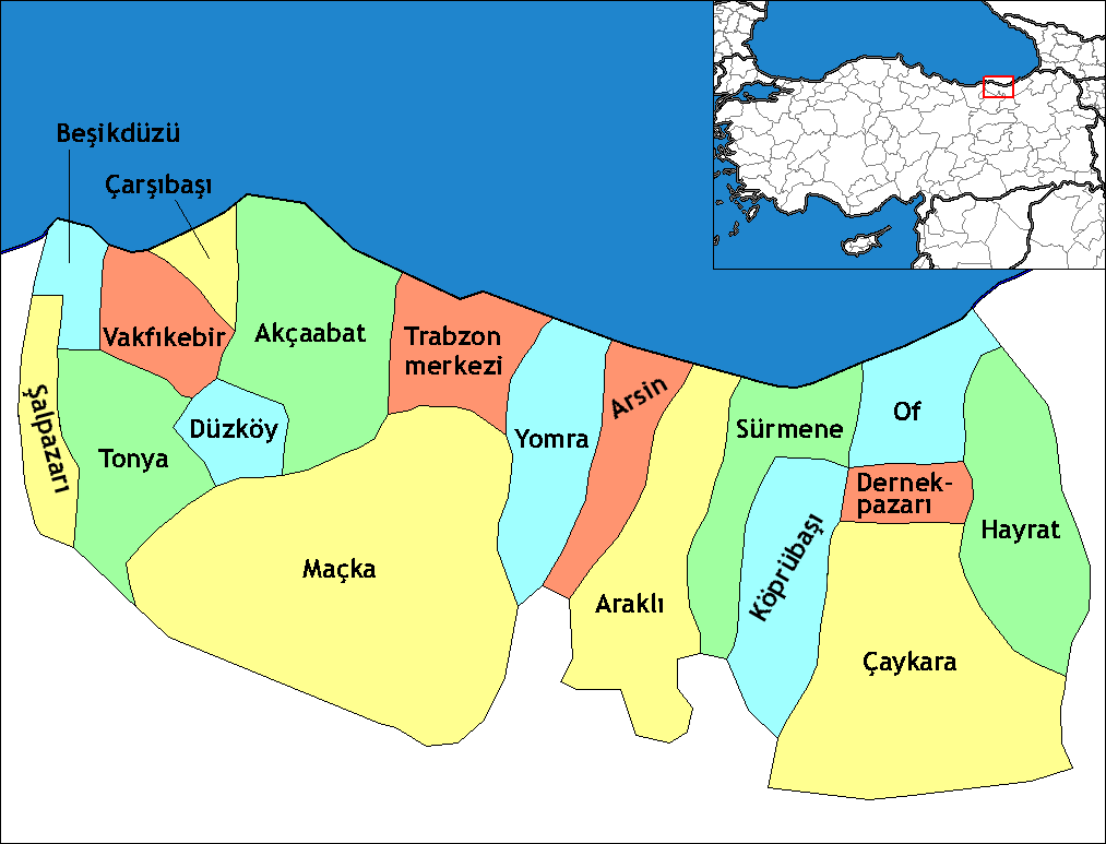 Trabzonda polislər atəşə tutulub, 5 nəfər yaralanıb