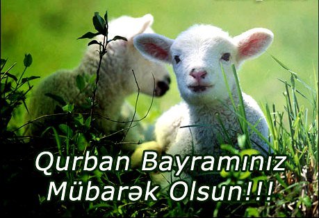 Qurban bayramının tarixi bəlli oldu