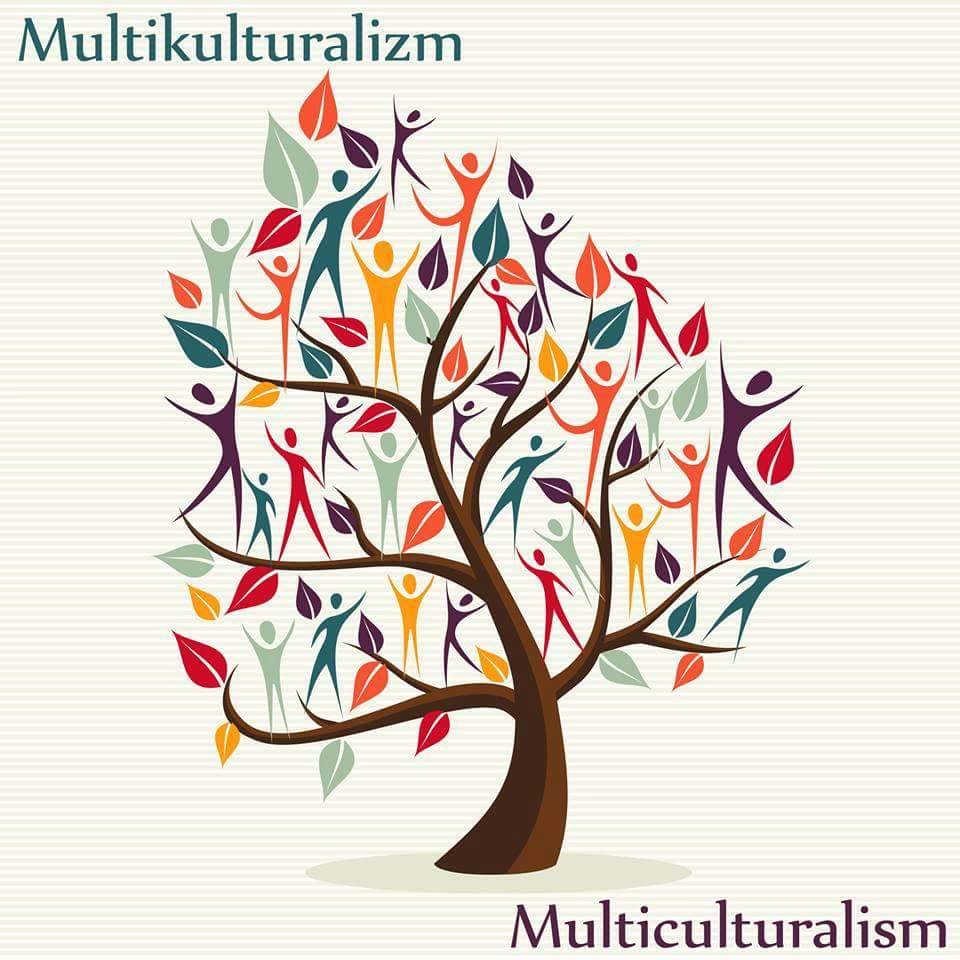 “Gənclik və multikulturalizm”