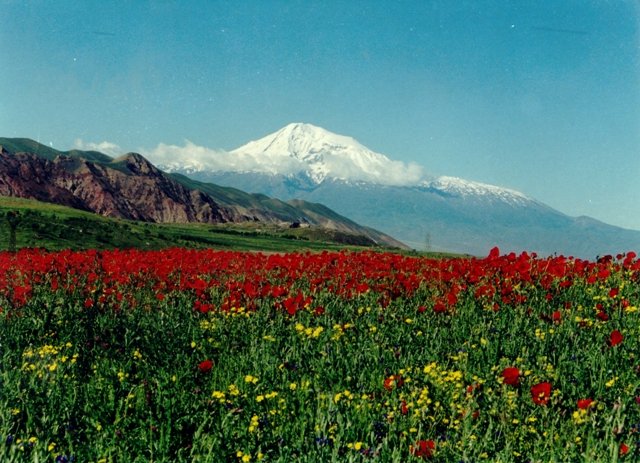 Qarabağ Çili mətbuatında