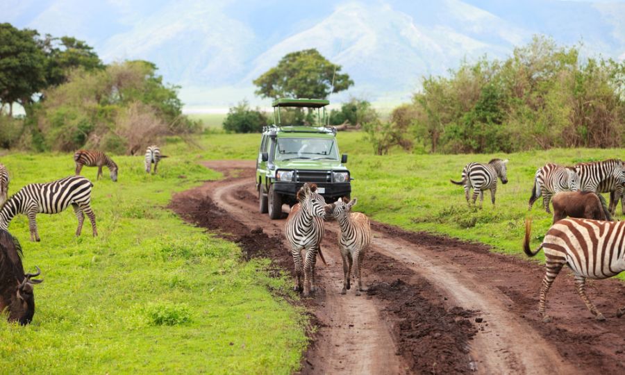 Tanzaniyada güclü zəlzələ baş verdi