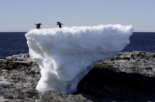 Dünya üçün TƏHLÜKƏ: Antarktida yarıldı – VİDEO
