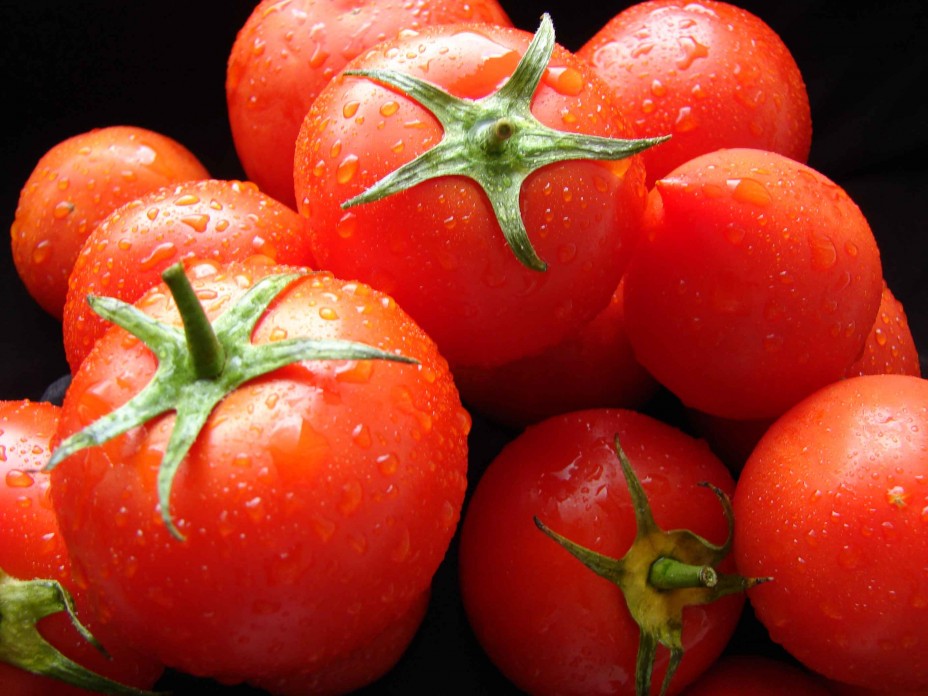 14 ton Azərbaycan pomidorunu Dağıstana buraxmadılar