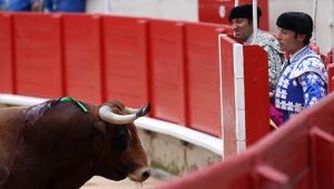 Fransada tanınmış ispan matadoru korrida zamanı faciəvi şəkildə ölüb