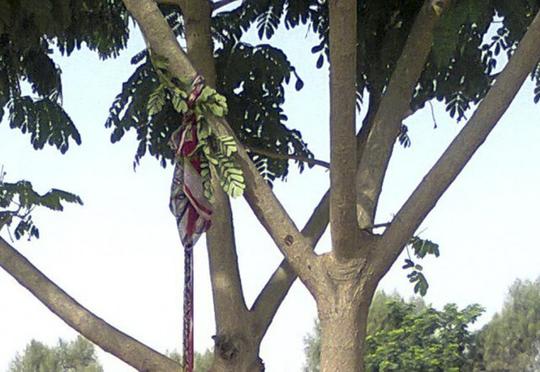 10 yaşlı uşağın meyiti tapıldı – Xurma ağacından asılıb
