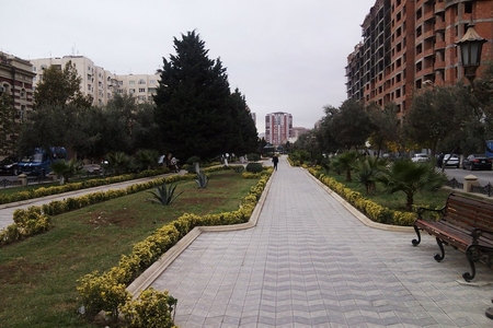 Bakının mərkəzindəki parkda faciə: iki nəfərin meyiti tapıldı