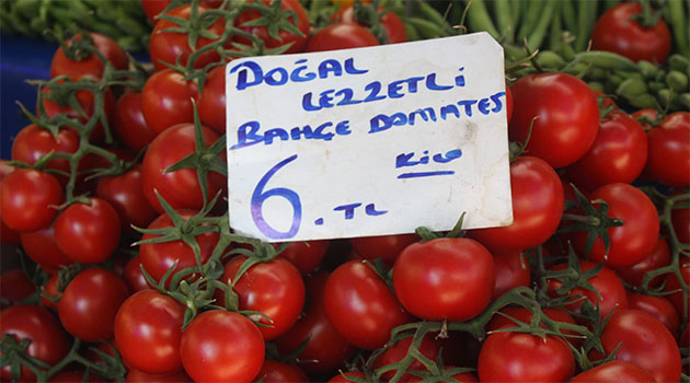 Türkiyənin Rusiyaya pomidor idxalına icazə verildi