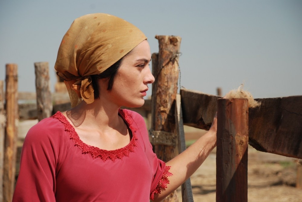 “Çölçü” beş filmdən biri oldu