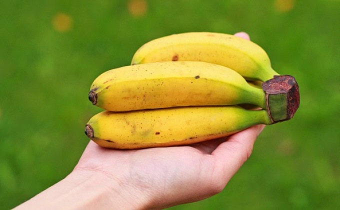 Bakıda Lənkəran istehsalı “mini banan” satılır