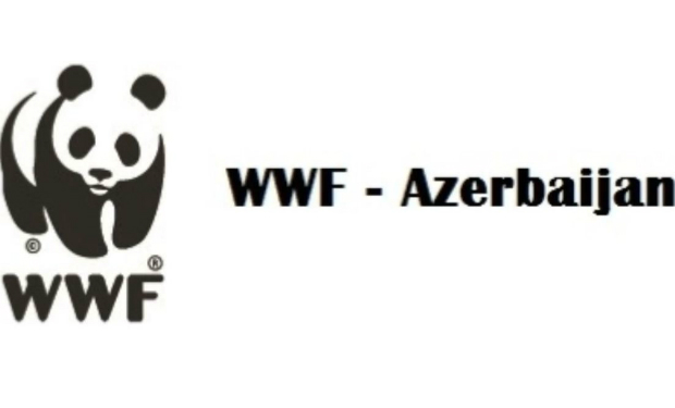 “WWF Russia” Dağlıq Qarabağda Azərbaycan vasitəsilə fəaliyyət göstərmək istəyir