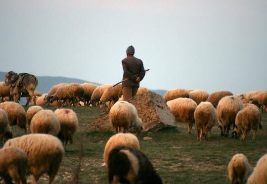 Çobanın qətlinin təfərrüatı: “O, kriminal aləmdə tanınan Həşimovların…”