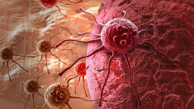 Xərçəng müalicəsi üçün yeni bir “peyvənd” təkmilləşdirildi (siçanlarda işə yaradı)
