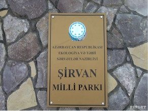 Şirvan Milli Parkının əməkdaşı güllələnib – TƏFƏRRÜAT
