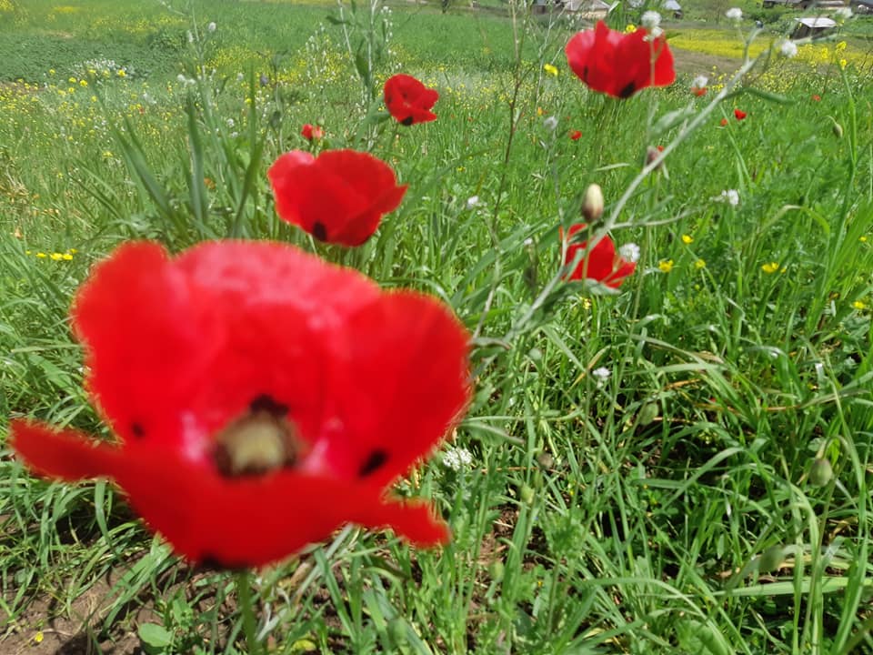 Sabaha olan hava proqnozu açıqlanıb