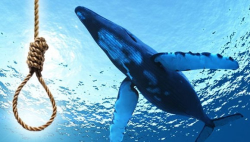 14 yaşlı yeniyetmənin intihar səbəbi – “Mavi balina” oynayırmış