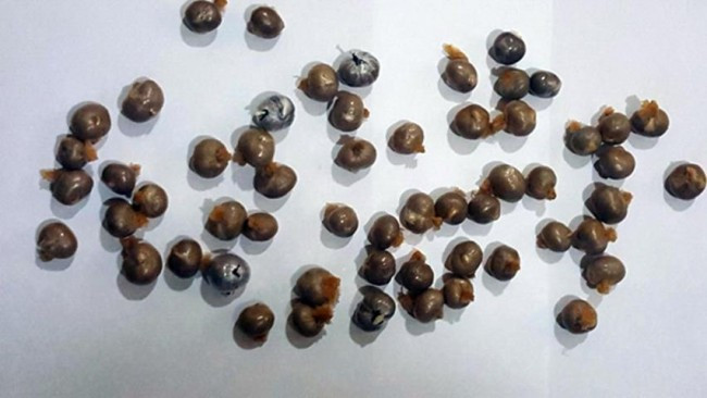 İran vətəndaşı Azərbaycana heroin keçirmək istədi