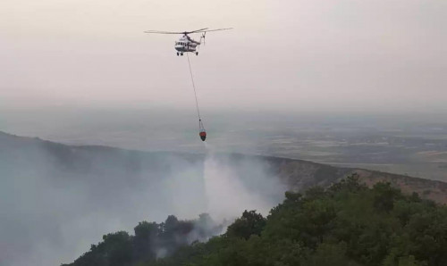 Ağsu və Şamaxıda meşə yanır