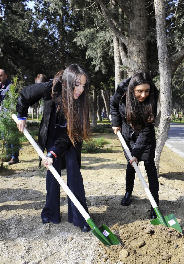 Heydər Əliyev Fondunun vitse-prezidenti Leyla Əliyeva “Xocalıya ədalət!” kampaniyası çərçivəsində ağacəkmə aksiyasında iştirak edib  - FOTO