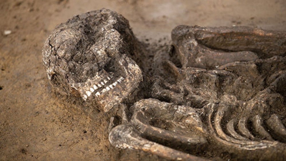 Bavariyada 6,5 min il yaşı olan skelet tapılıb